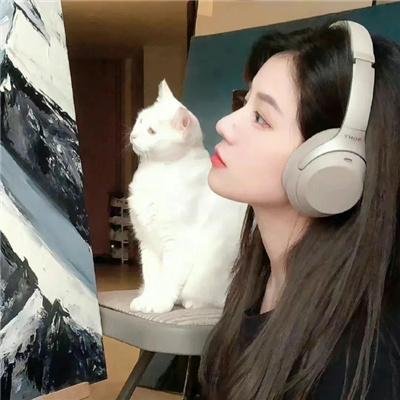 星辰之家